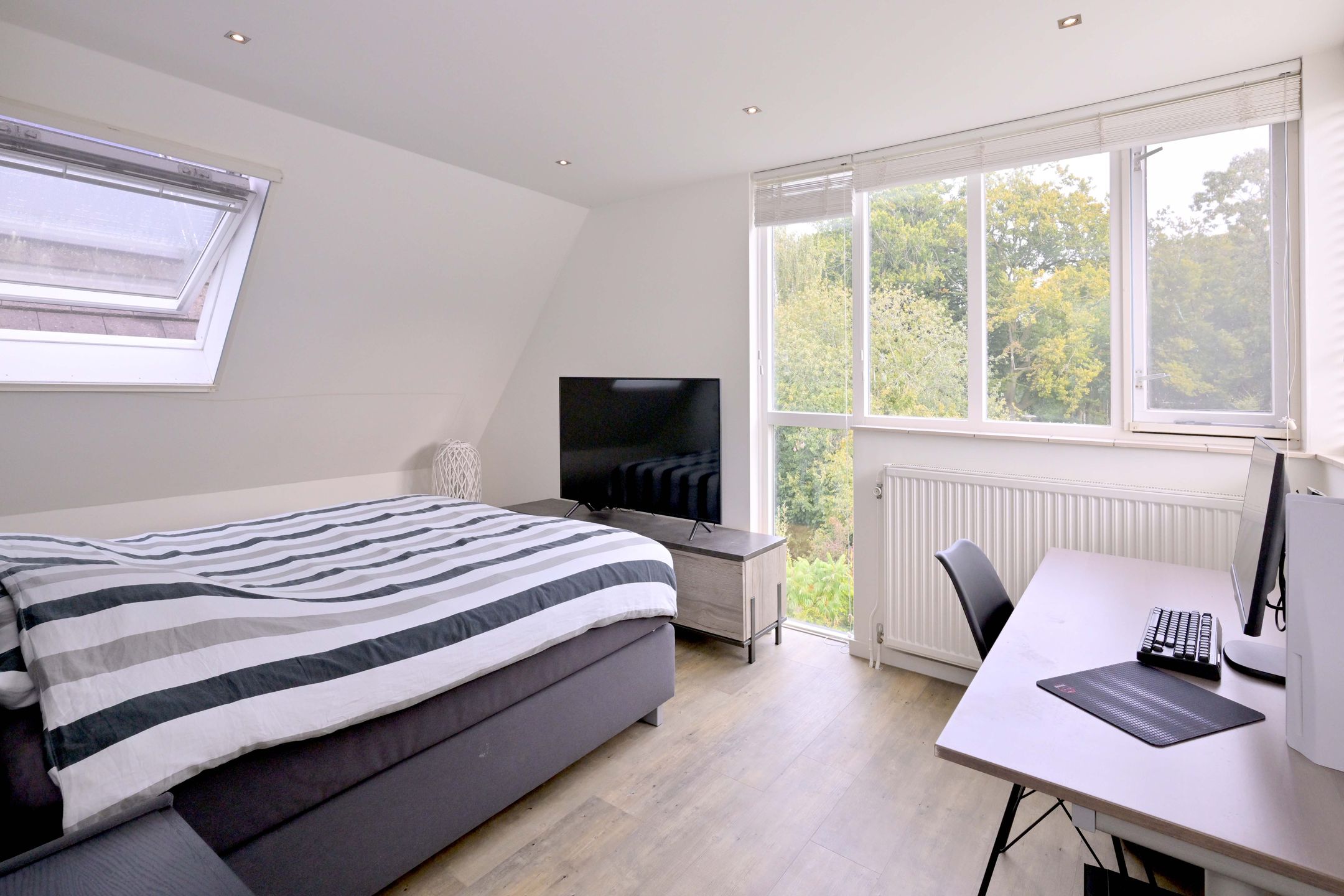 Photo 39 of Roodborst 11