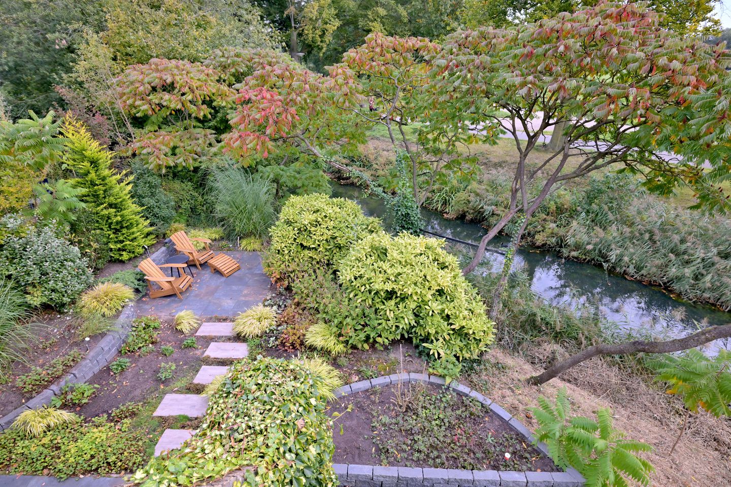 Photo 44 of Roodborst 11