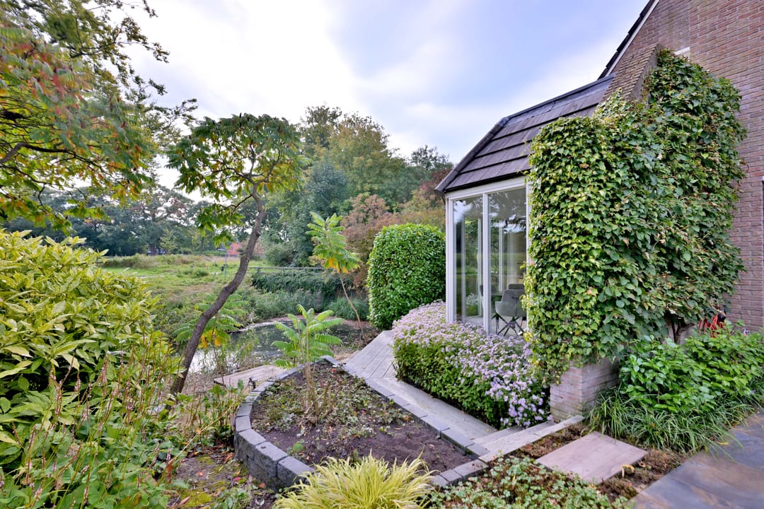 Photo 47 of Roodborst 11