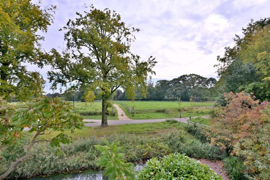 Photo 46 of Roodborst 11