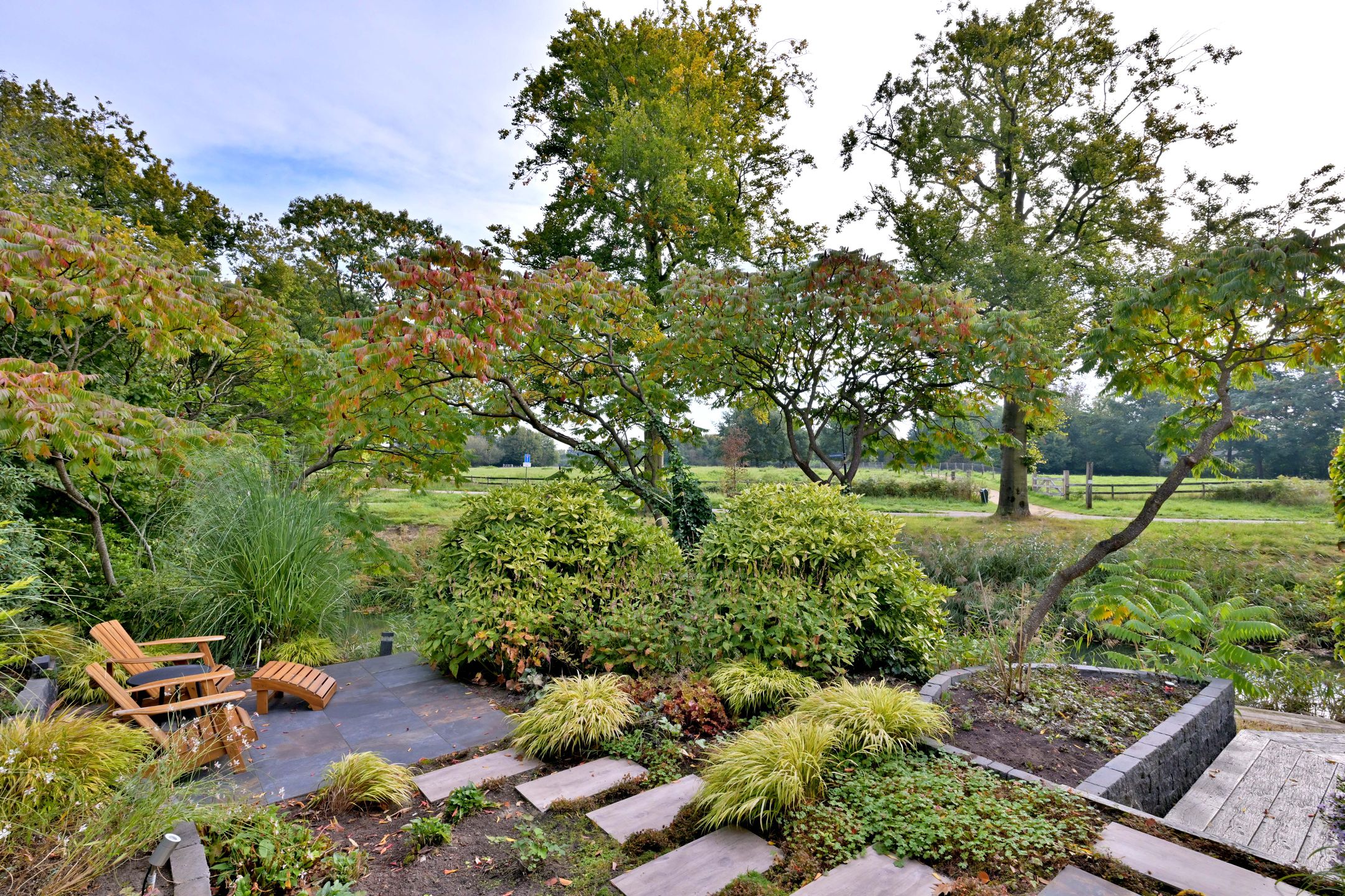 Photo 45 of Roodborst 11