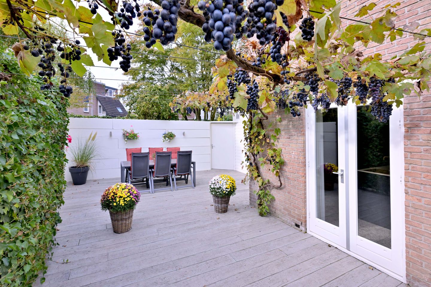 Photo 50 of Roodborst 11