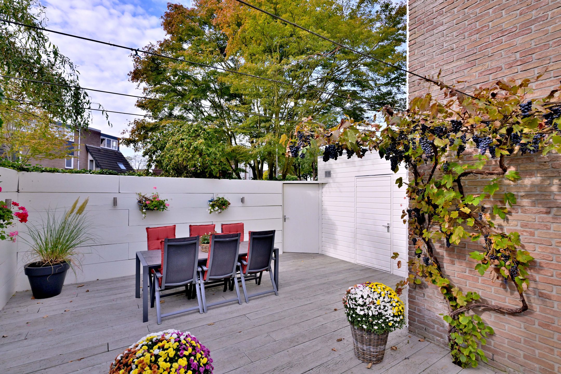 Photo 51 of Roodborst 11