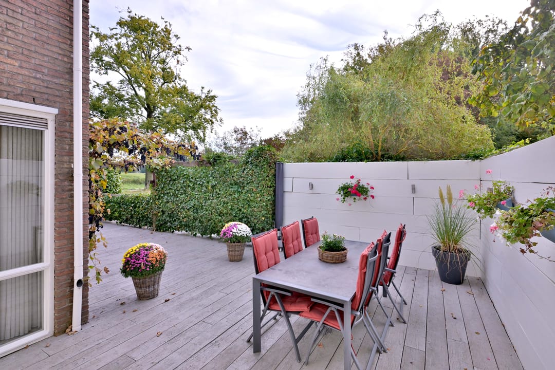 Photo 52 of Roodborst 11