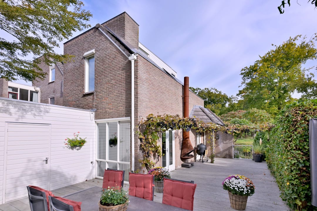 Photo 53 of Roodborst 11