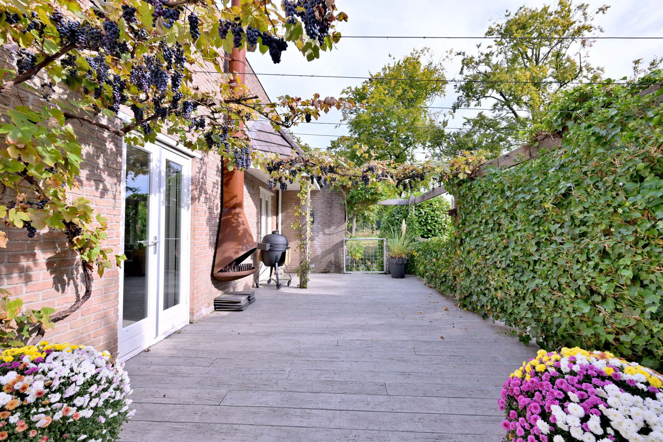 Photo 54 of Roodborst 11