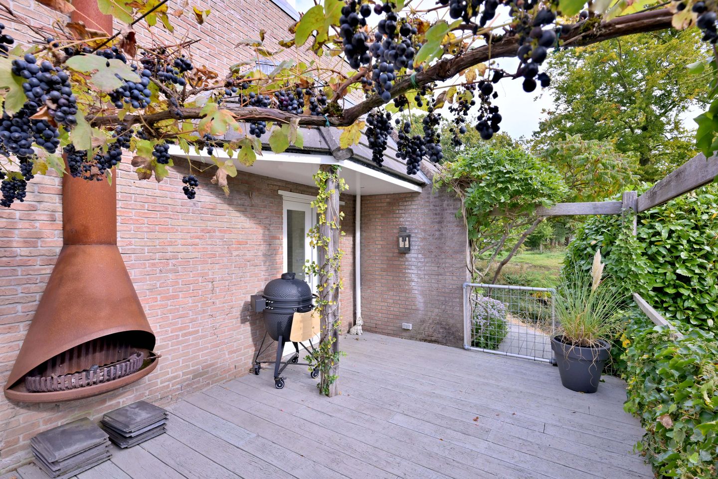 Photo 55 of Roodborst 11