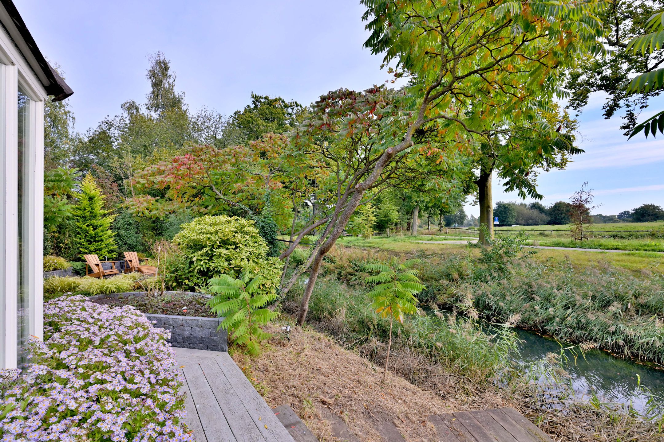 Photo 57 of Roodborst 11