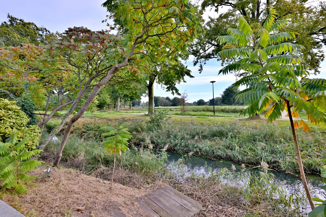 Photo 58 of Roodborst 11