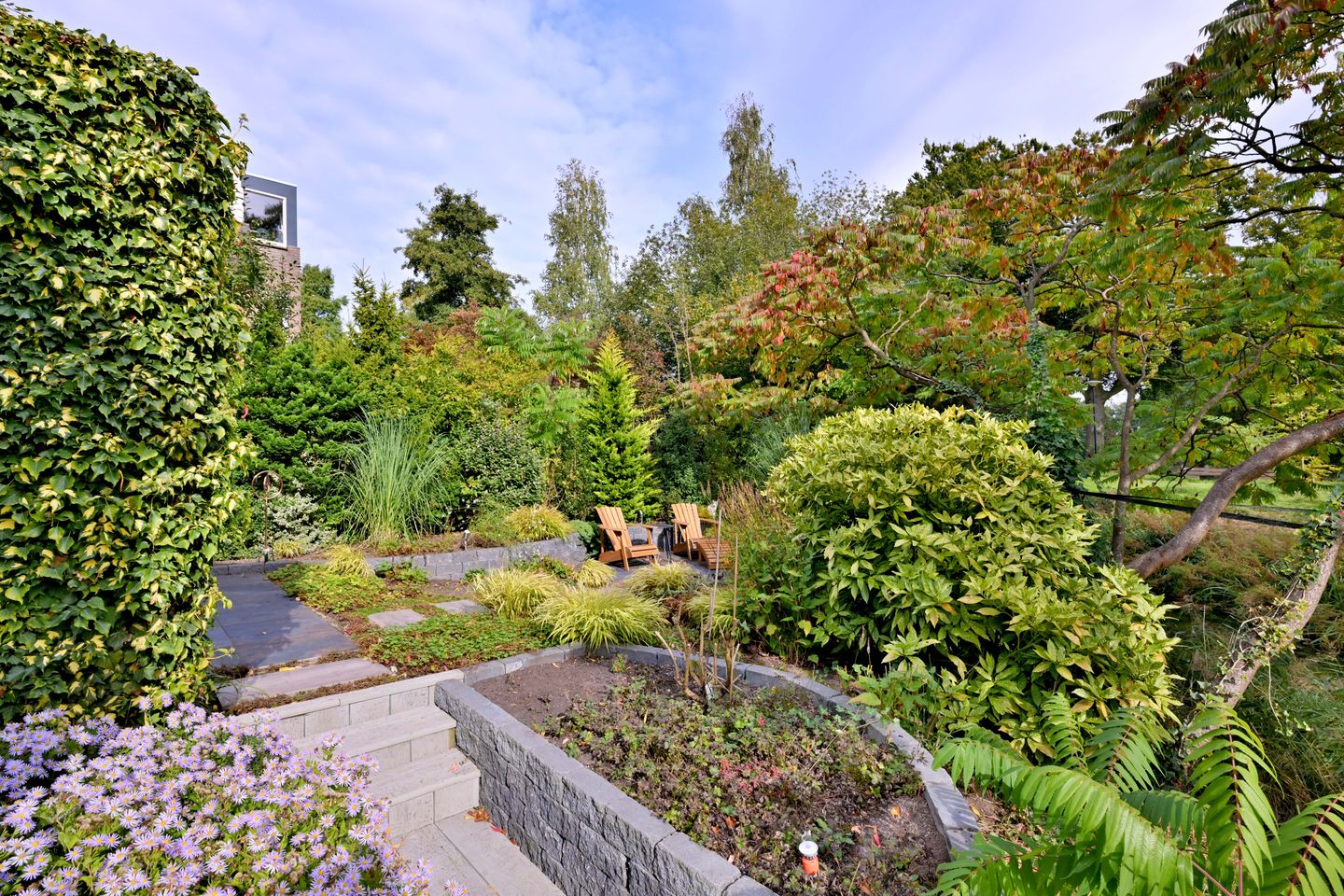 Photo 59 of Roodborst 11