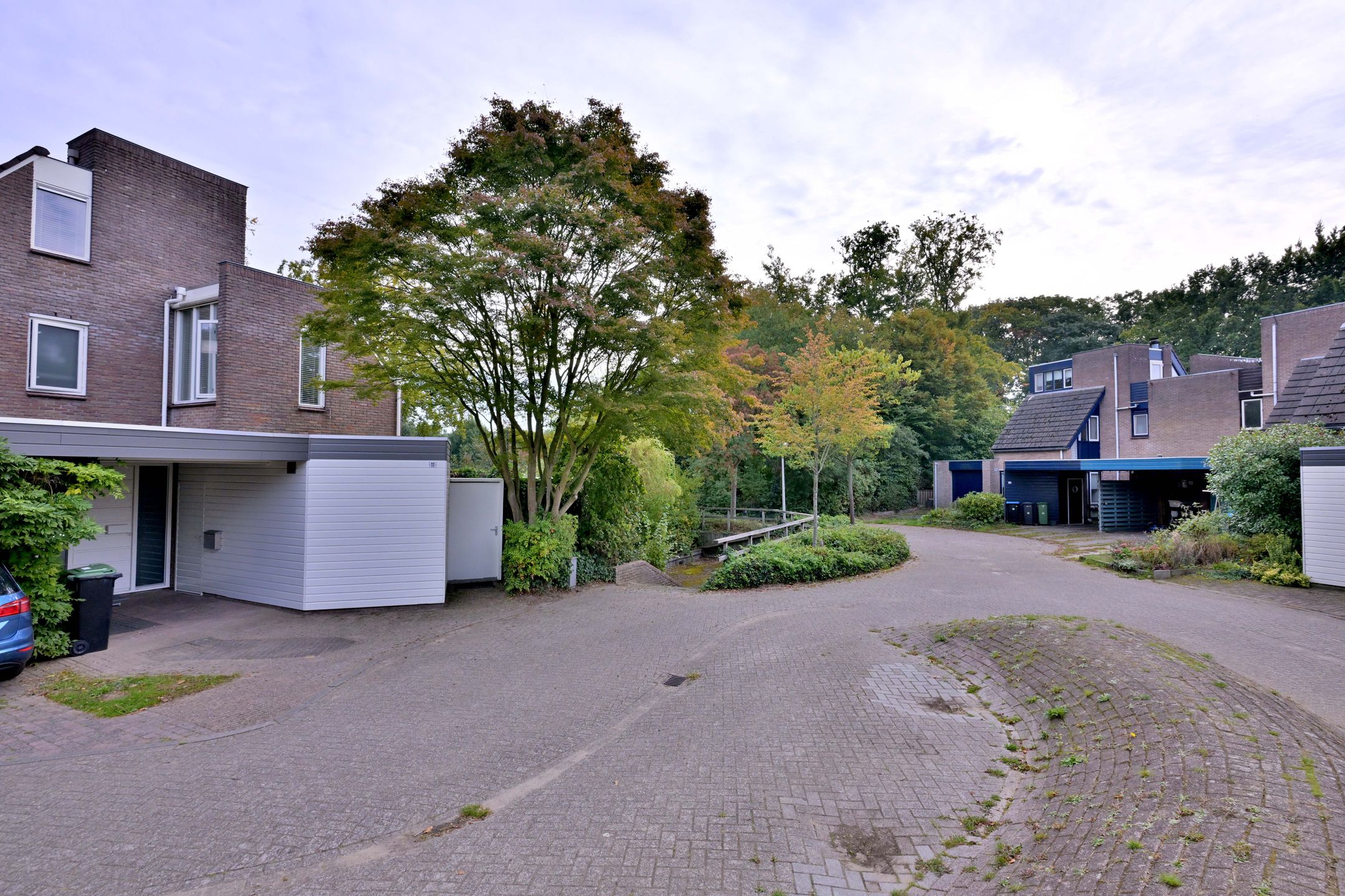 Photo 60 of Roodborst 11