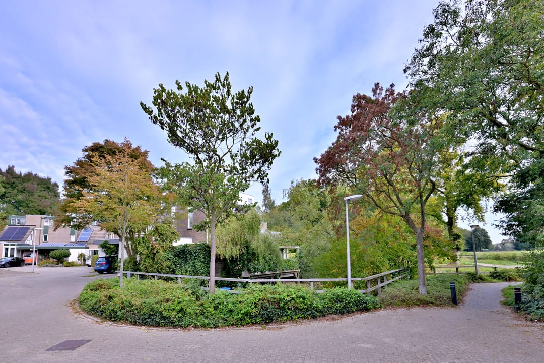 Photo 61 of Roodborst 11