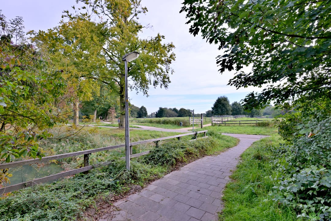 Photo 62 of Roodborst 11