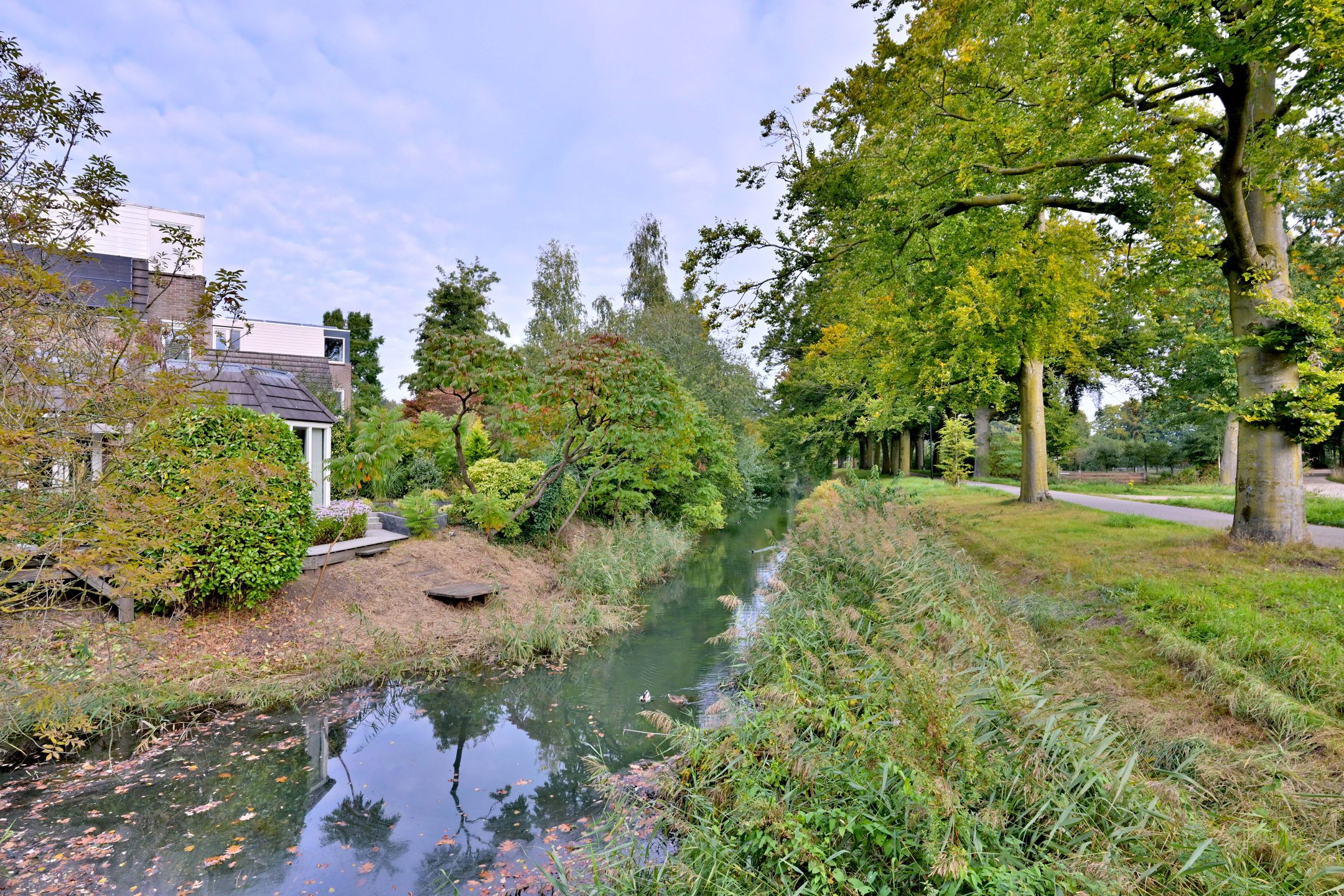 Photo 63 of Roodborst 11