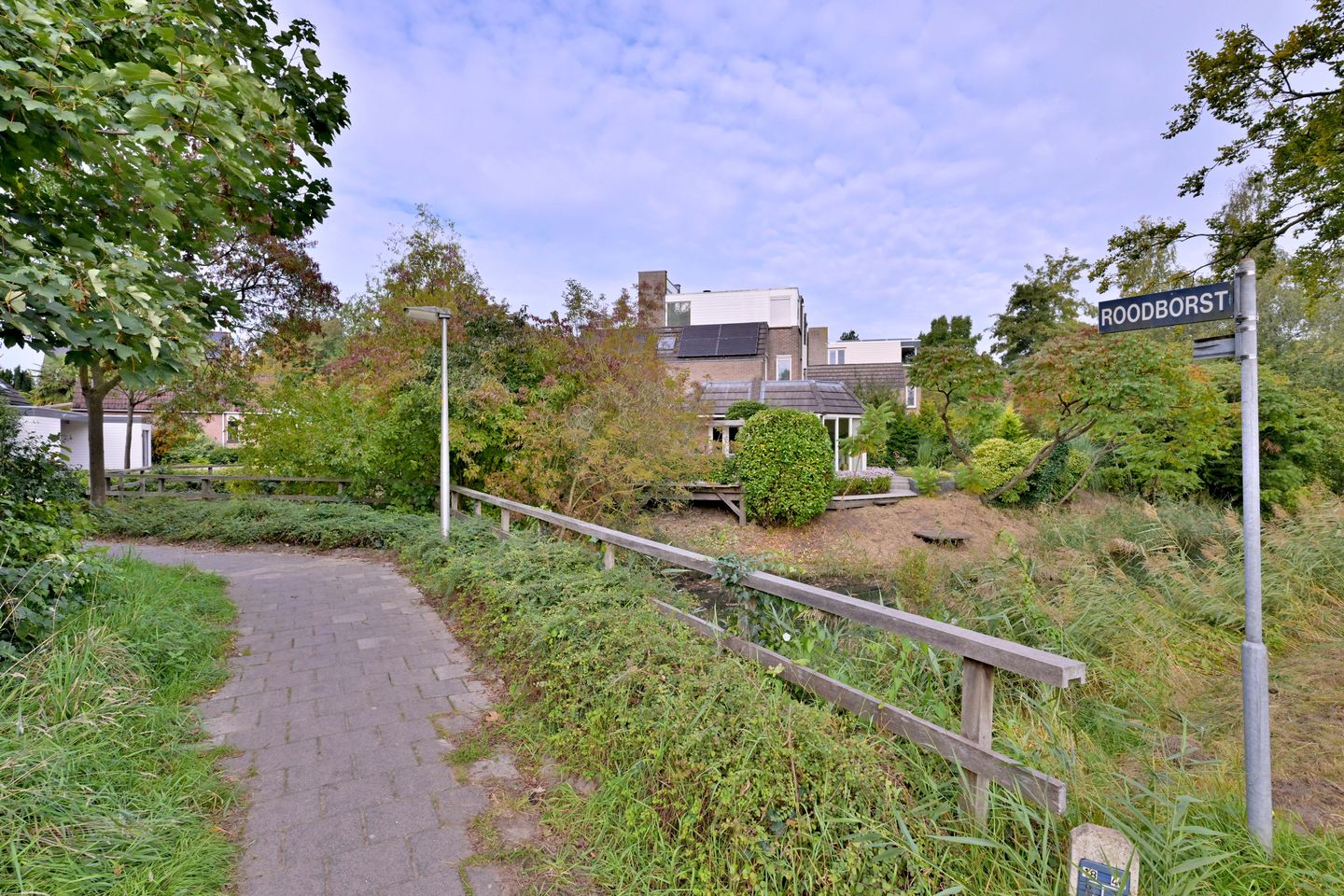 Photo 65 of Roodborst 11