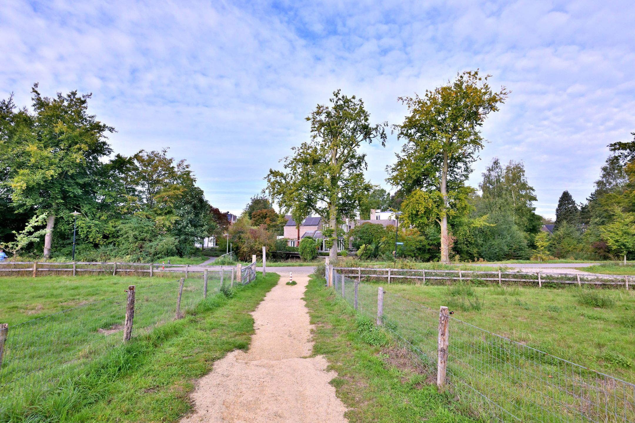 Photo 66 of Roodborst 11