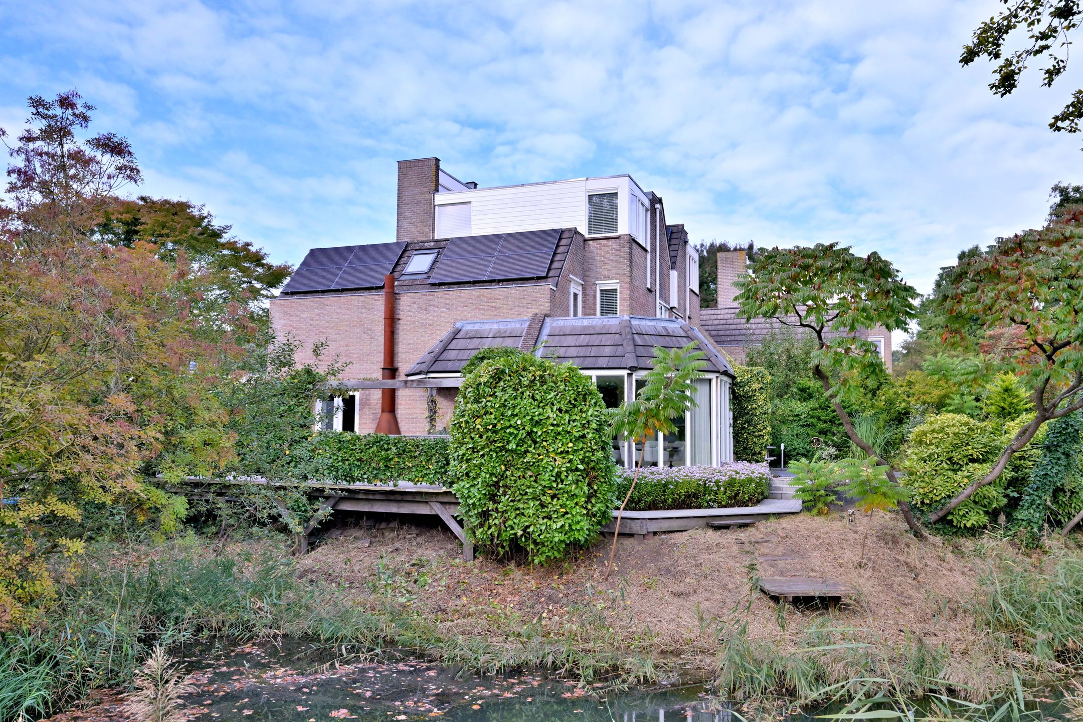 Photo 69 of Roodborst 11