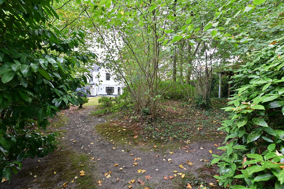 Photo 7 of Graaf Florislaan 30