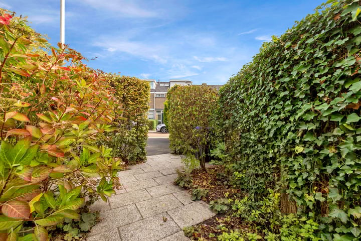 Photo 11 of Steenhoekstraat 4