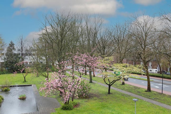 Photo 16 of Kaap Hoorn 12