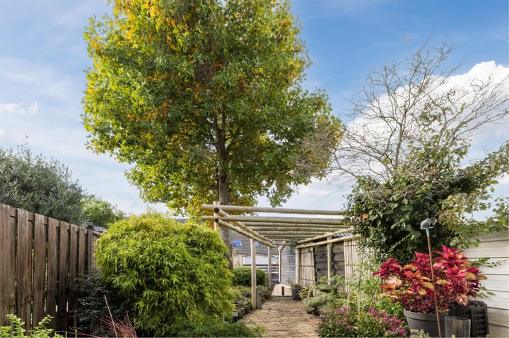 Foto 37 van Jan Bijhouwerstraat 40