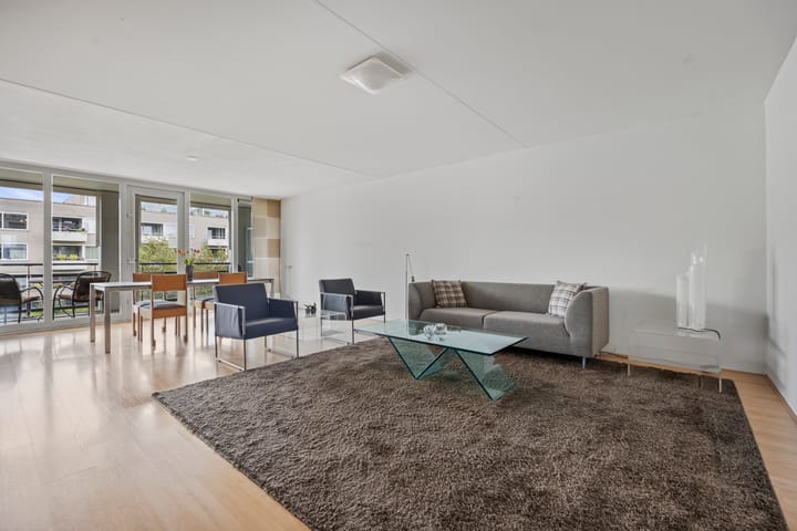 Foto 7 van Anna van Burenstraat 60-C