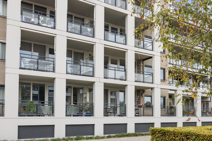 Foto 39 van Anna van Burenstraat 60-C