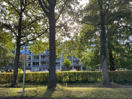 Beukenhorst thumbnail