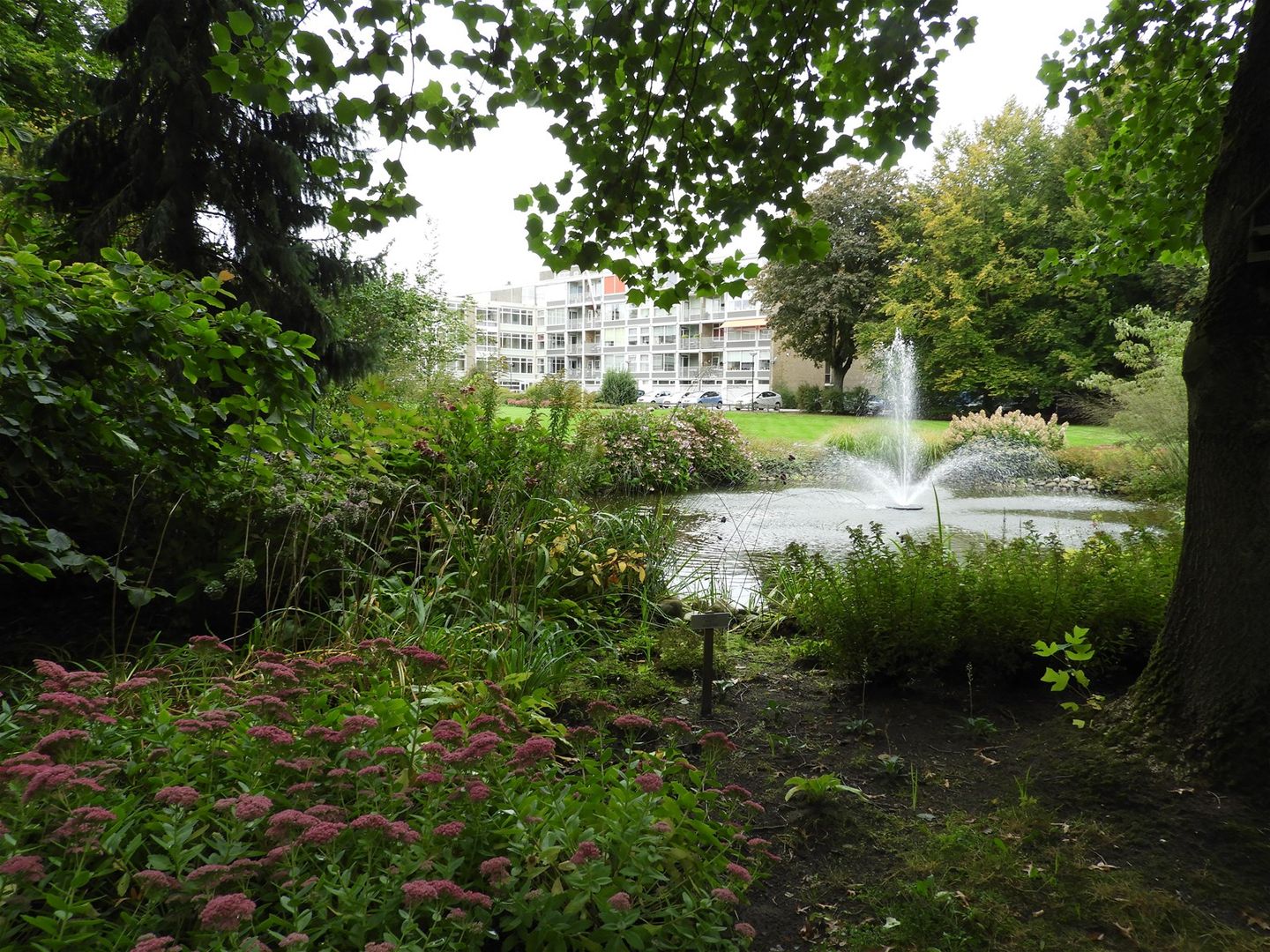 Photo 29 of Beukenhorst 35