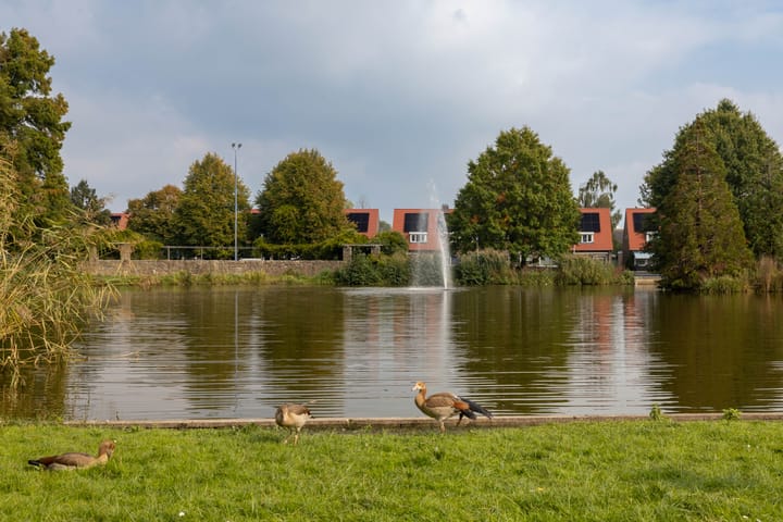 Foto 23 van Iepenstraat 59