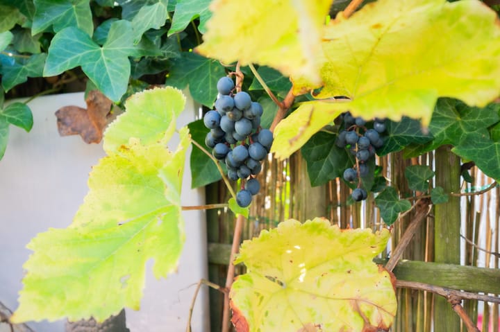 Foto 19 van Vermeerstraat 45