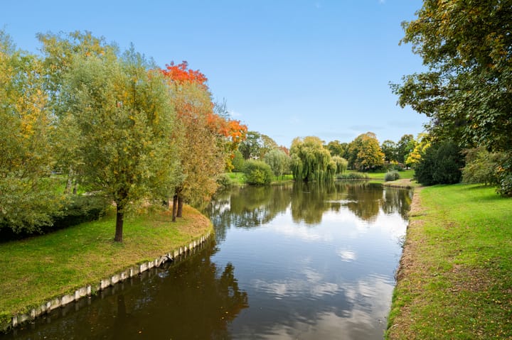 Foto 21 van Vermeerstraat 45