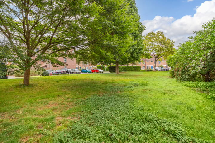 Foto 31 van Marmotweide 19