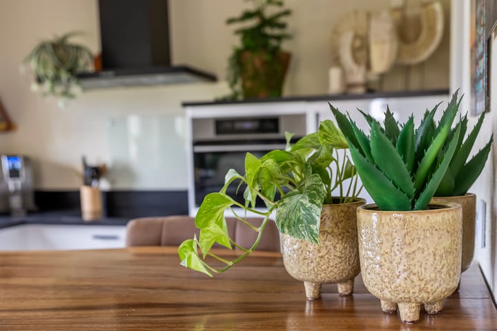 Foto 14 van Notendreef 4