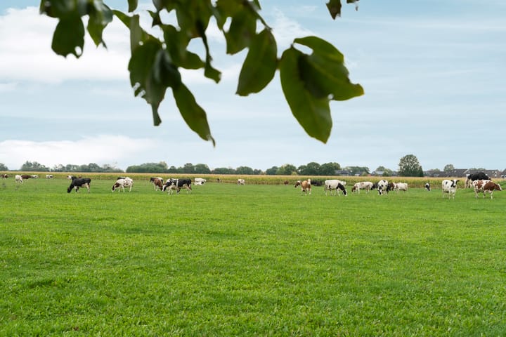 Foto 43 van Hoogeweg 34