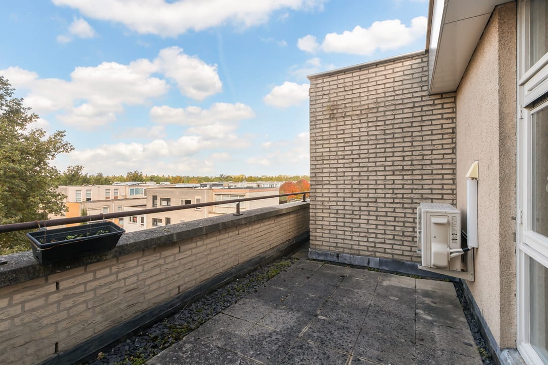 Photo 28 of Merbau 111