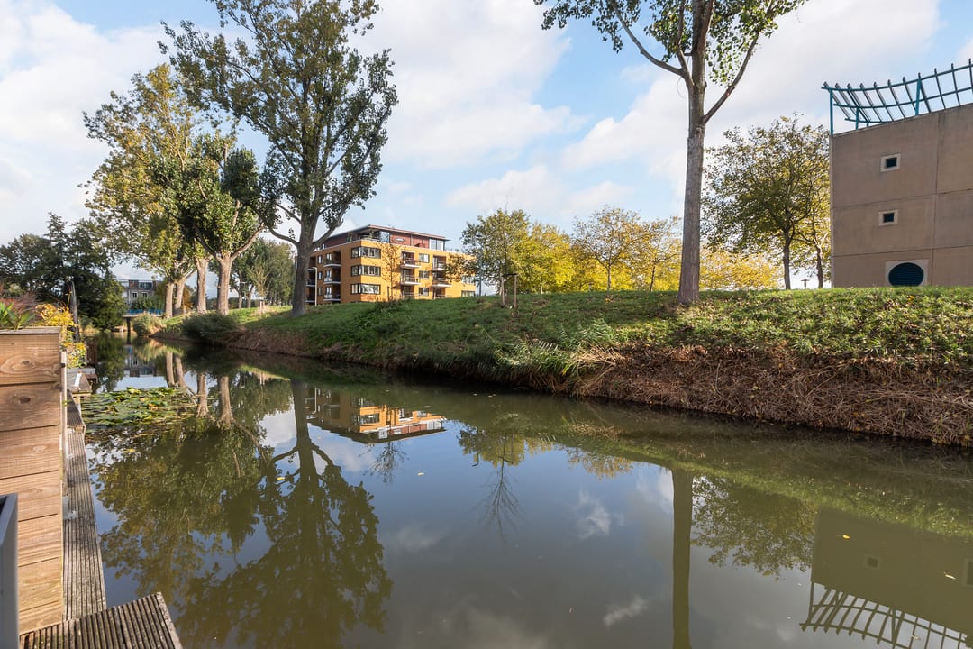 Photo 41 of Merbau 111