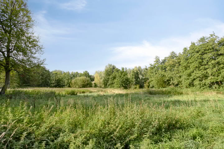 Photo 50 of Beemdstraat 6