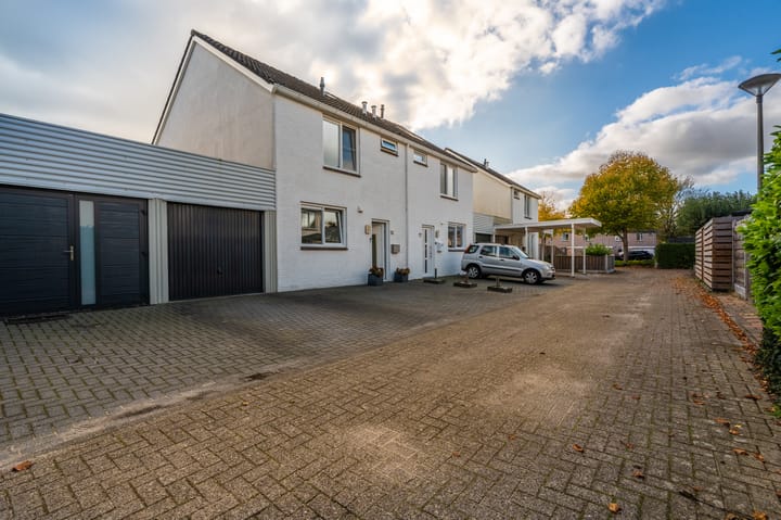 Photo 7 of Jupiter 16