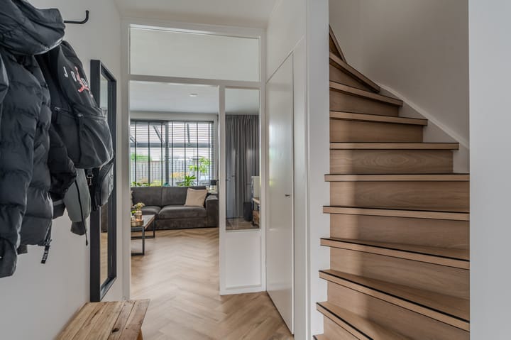 Photo 12 of Jupiter 16