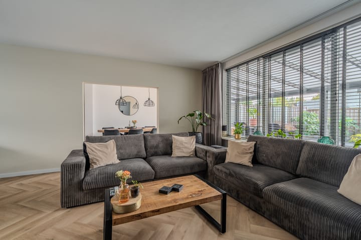 Photo 13 of Jupiter 16