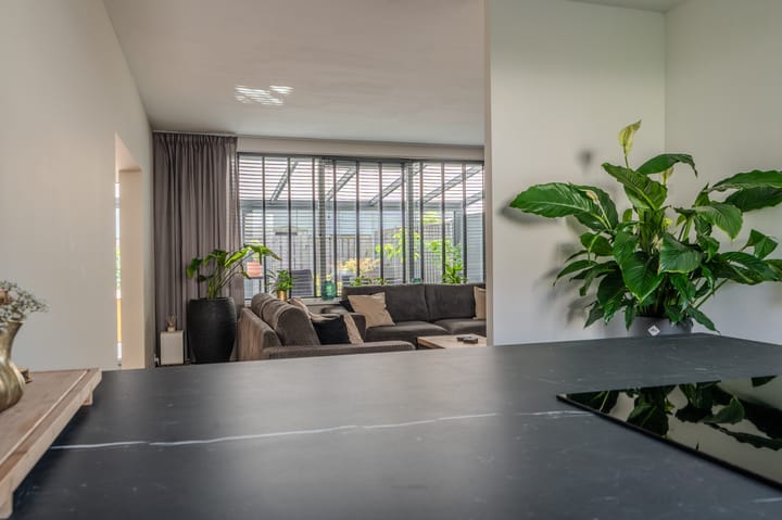 Photo 24 of Jupiter 16