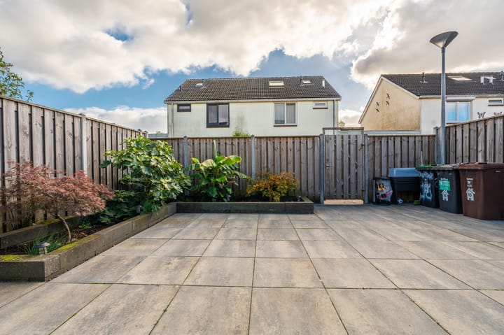 Photo 36 of Jupiter 16