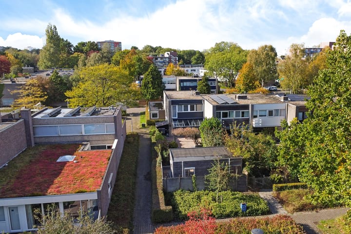 Photo 47 of Fioringras 15