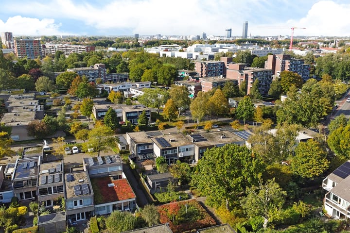 Photo 54 of Fioringras 15