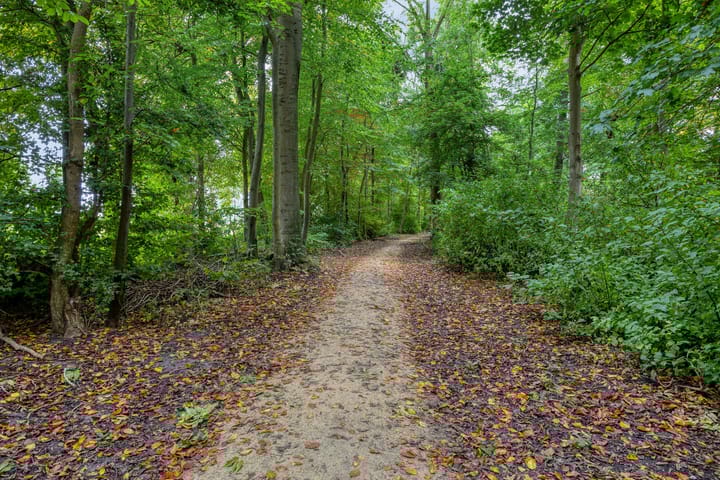 Foto 43 van De Fazant 7