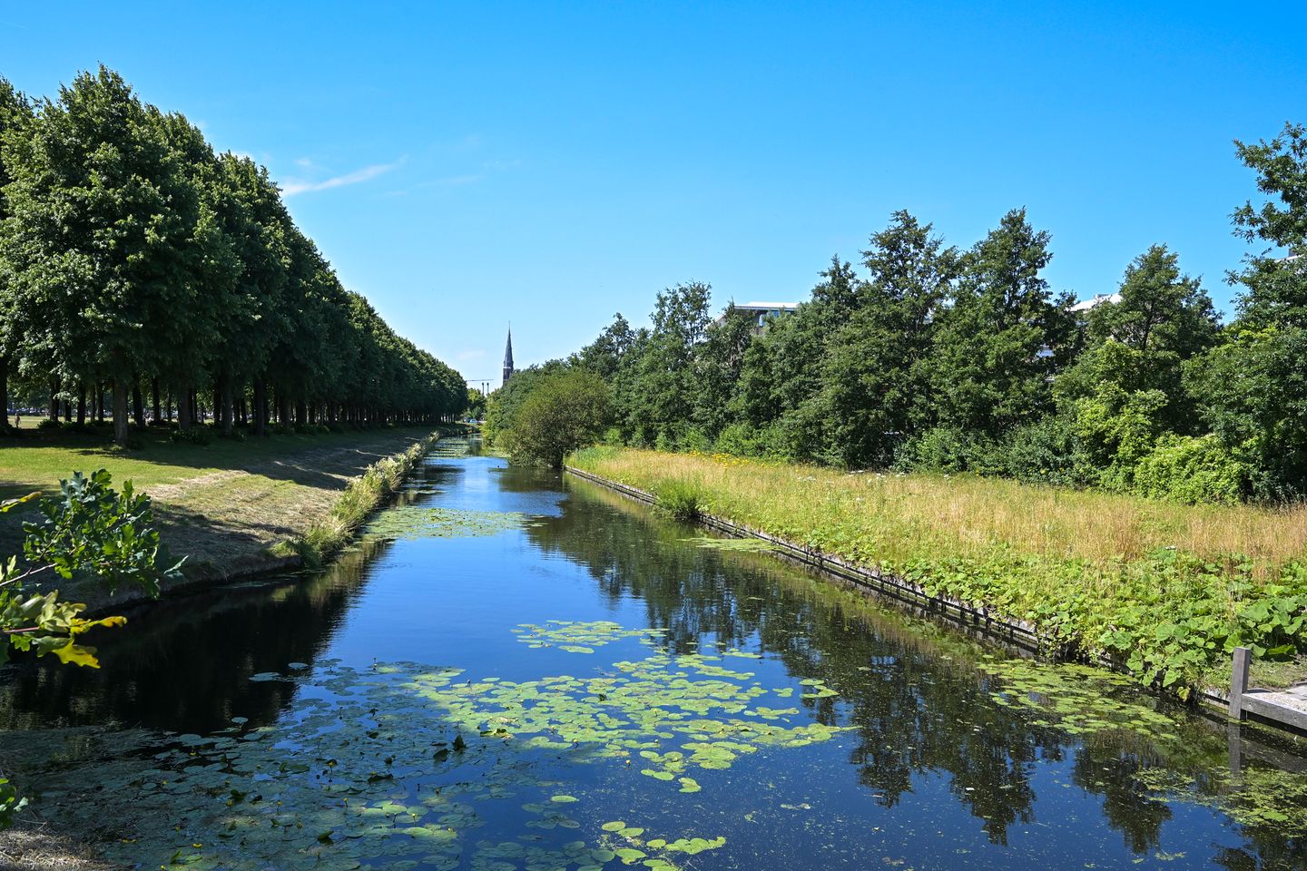 Foto 14 van Jan van Nassaustraat 47-F