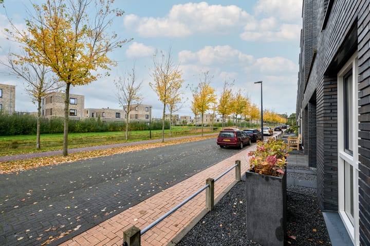 Photo 36 of Henriëtte Roland Holstweg 19