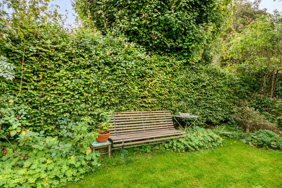 Photo 52 of Cornelis van der Lijnlaan 28