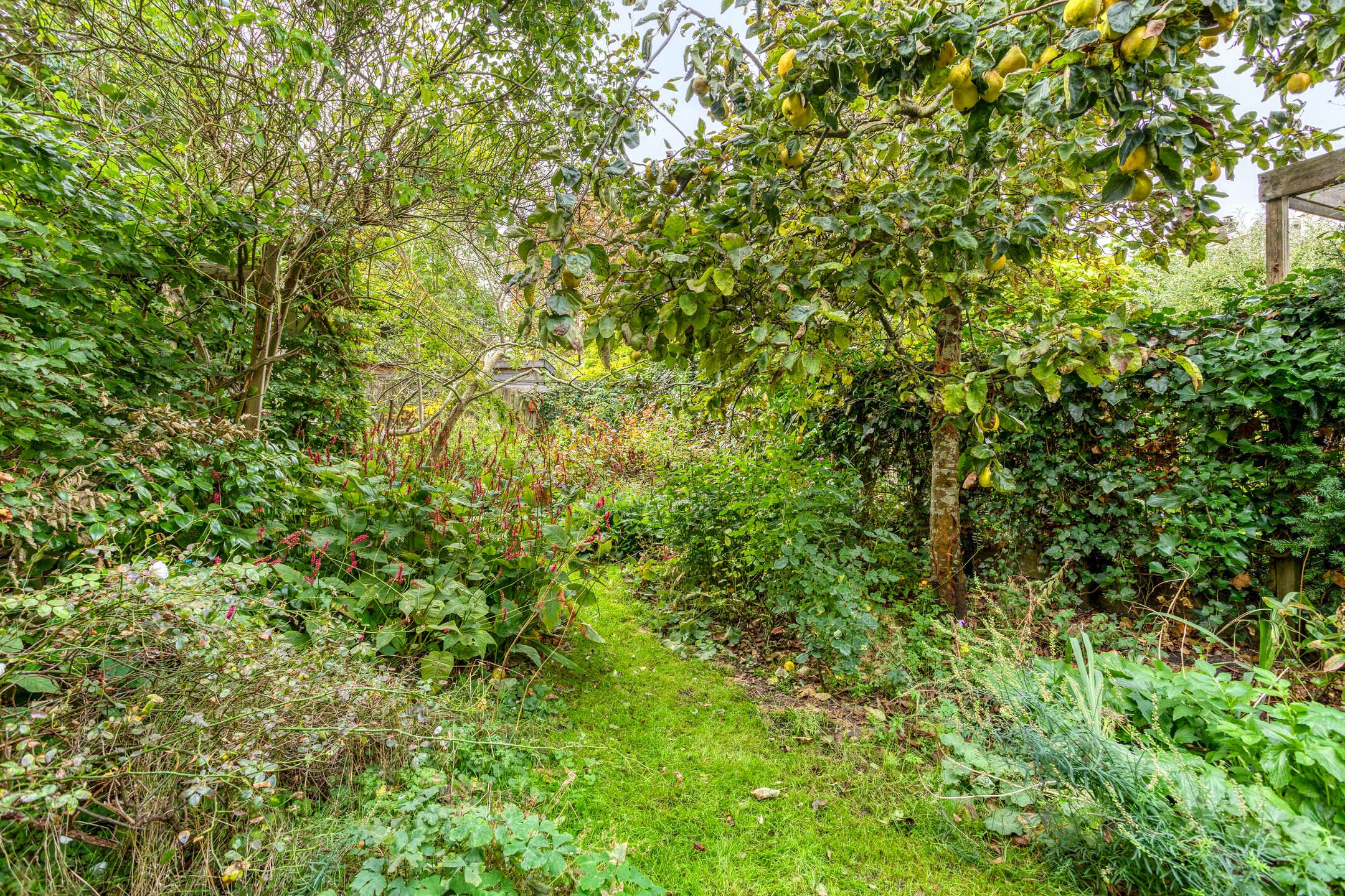 Photo 54 of Cornelis van der Lijnlaan 28